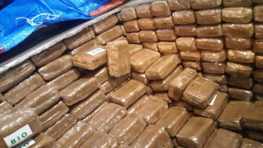 العيون.. الأمن يفكك شبكة لترويج المخدرات وحجز 7 كيلوغرامات من الشيرا في عمليات متفرقة