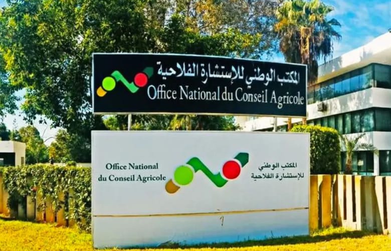 مشاركة وازنة للمكتب الوطني للاستشارة الفلاحية في الدورة الرابعة عشرة للمعرض الدولي للتمور بالمغرب