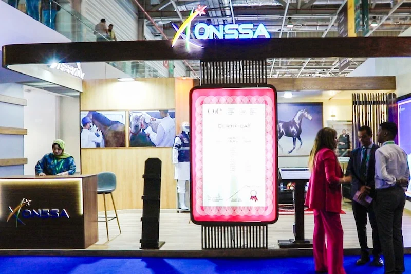 “أونسا” يكرّس حضوره في معرض الفرس بالجديدة بدور ريادي في حماية صحة الخيول