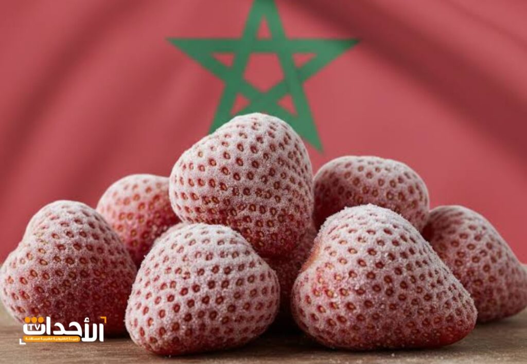 صادرات الفراولة المغربية تسجل قفزة تاريخية في السوق الأمريكية خلال 2025