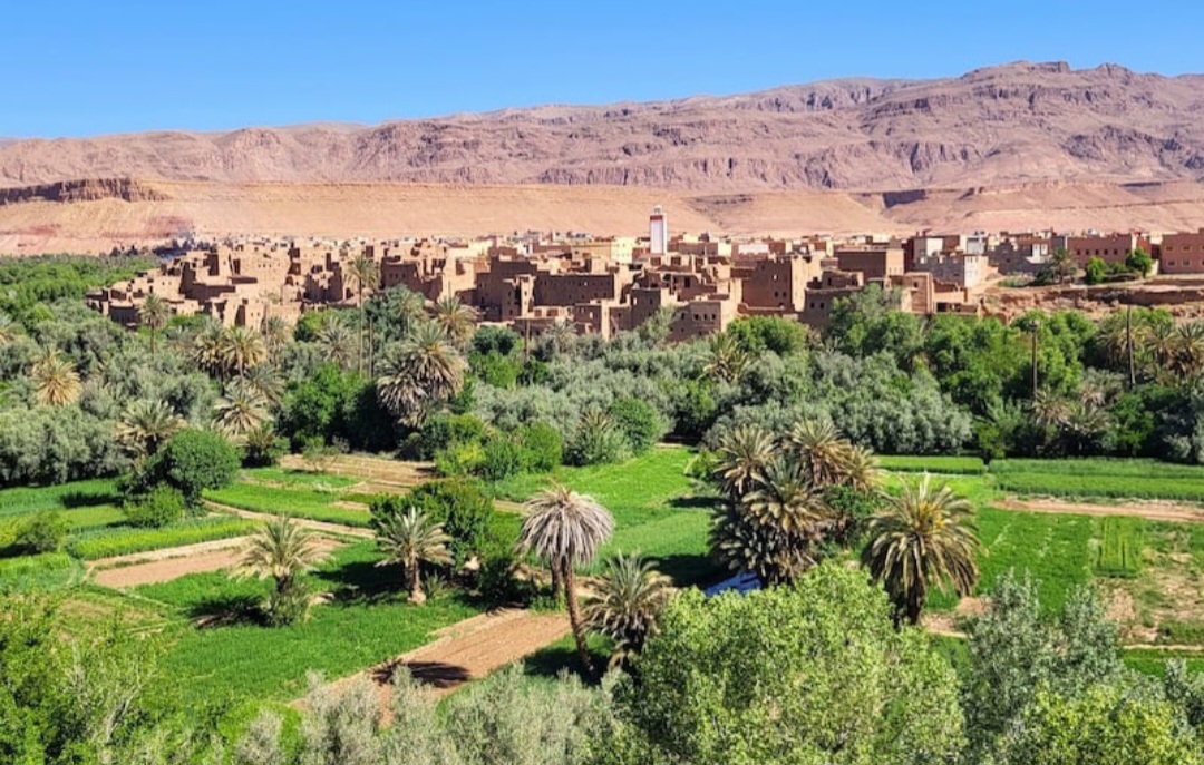 طقس الجمعة.. أجواء حارة ورياح قوية بعدد من مناطق المغرب