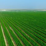 الأراضي الزراعية