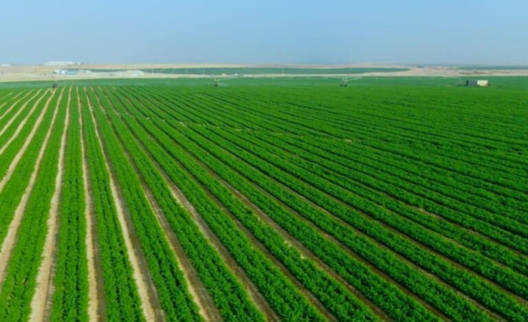 الأراضي الزراعية